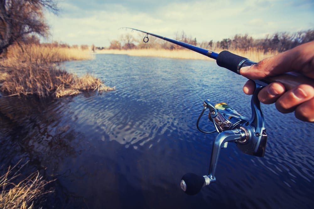 bait the hook to suit the fish dale carnegie Sales: How to Bait a Hook